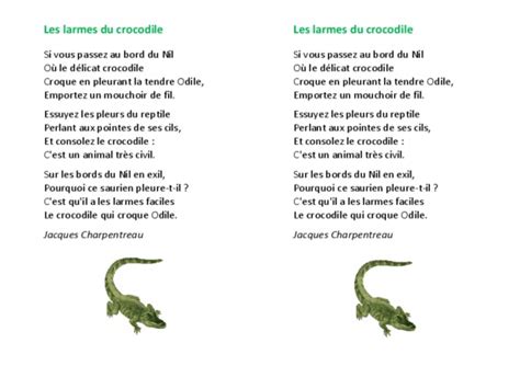 Le Crocodile Pdf Notice Manuel D Utilisation