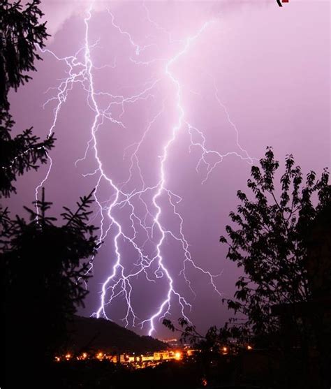 Fulmine Colpisce Un Enne L Amico Raggiunto Dal Ramo Dell Albero