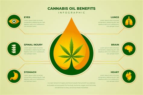 Free Vector Cannabis Oil Benefits Infographic Template