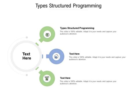 Types Structured Programming Ppt Powerpoint Presentation Summary