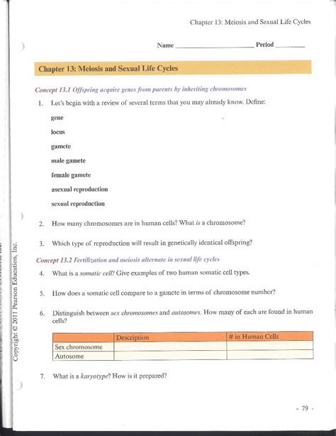 Pdf Chapter 13 Meiosis And Sexual Life Cycles