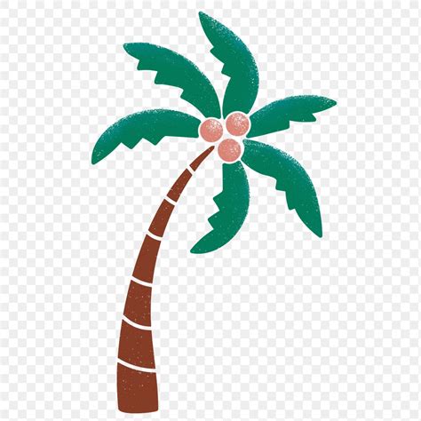 Coconut Tree Png Sticker Botanical Premium Png Rawpixel