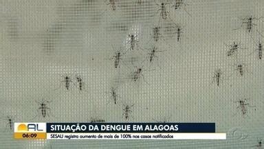 Bom Dia Alagoas Sesau Registra Aumento No N Mero De Casos De Dengue