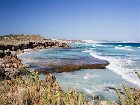 Exceptional Port Lincoln, Seafood and Wildlife Tour - Australian ...