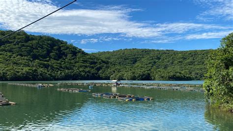 Lancha Fica Presa Em Gaiolas De Peixes E Homem Desaparece Ao Mergulhar