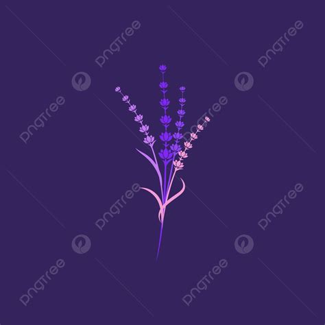 Lavender Flower Vector Icon Illustration Oil Illustration Garden Vector