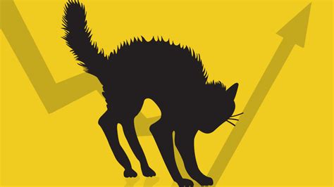 Dead Cat Bounce, Explained - TheStreet