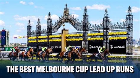 Melbourne Cup 2022 barrier draw: Final field, horses, odds, weights ...