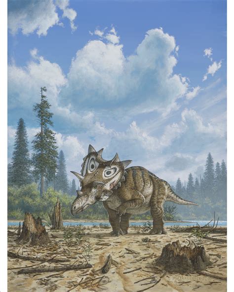 New Horned Dinosaur Species With Spiked Shield Identified