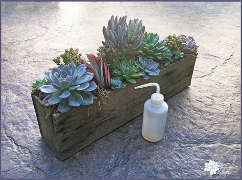 DIY Pallet Planter For Succulents The Succulent Eclectic