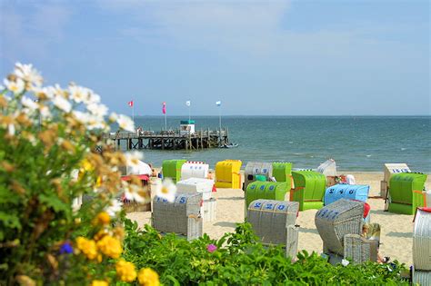 Insel Föhr Der Urlaubär unterwegs