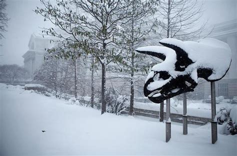 湖南发布低温雨雪冰冻橙色预警：长沙湘潭株洲等地将积雪新区要闻湖南湘江新区