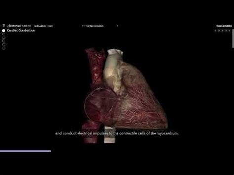 Anatomage Empowers Institutions to Flip Classrooms with Interactive ...