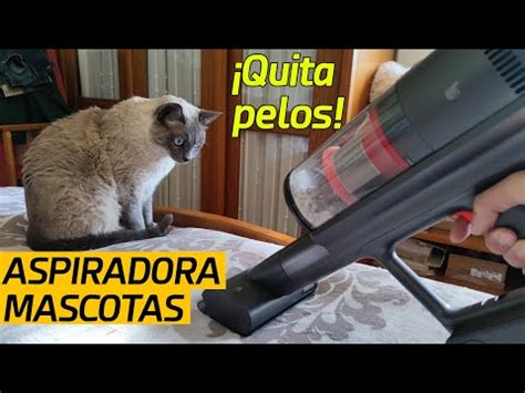 La Aspiradora De Mano Perfecta Para Decir Adi S A Los Pelos De Gato