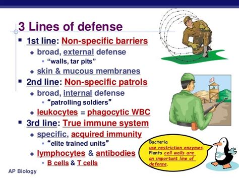 Ap Biology Ch 35 Immune System