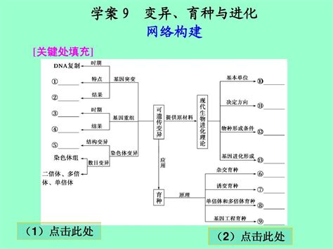 【高考二轮复习】专题四学案9：变异、育种与进化word文档在线阅读与下载无忧文档