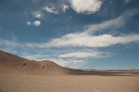 Gobi Bear Project – Saving the world's rarest bear