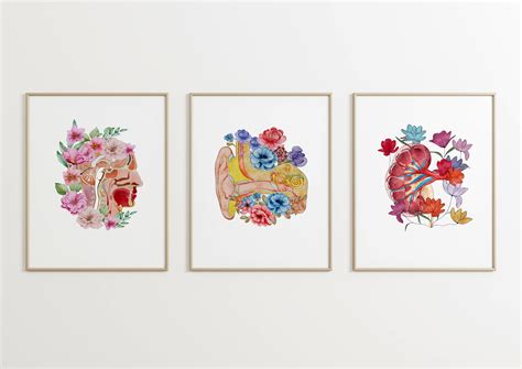 Anatomy Art Set of 6, Medical Art, Anatomy Poster, Doctor Clinic Decor ...