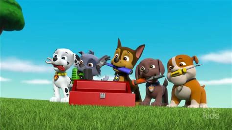 Rockygallerypups Save Ryders Surprise Paw Patrol Wiki Fandom