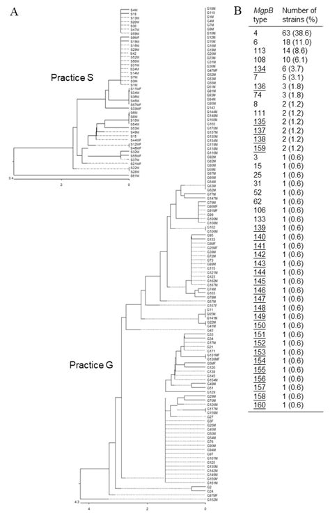 Pathogens Free Full Text Mgpb Types Among Mycoplasma Genitalium