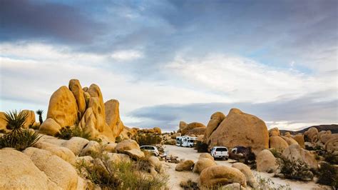 5 Best Campsites in Joshua Tree National Park