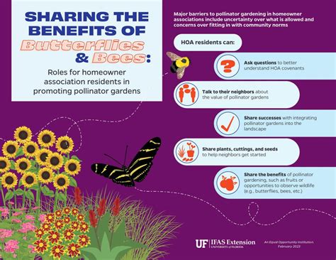 Laziness Encouraged No Mow March Promotes Pollinators In The Panhandle