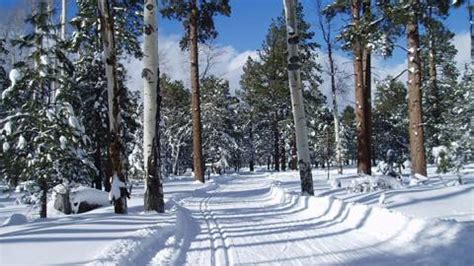 Flagstaff Snow-ometer - Check Current Snow in Flagstaff