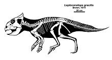 leptoceratops wikipedia