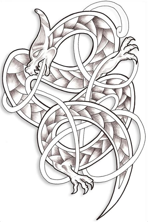 World's Most Popular Tattoo For Female: Celtic Dragon Tattoo Designs