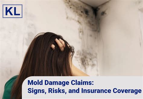 Mold Damage Claims Signs Risks And Insurance Coverage