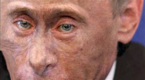 Monkey Putin Image Gallery List View Know Your Meme