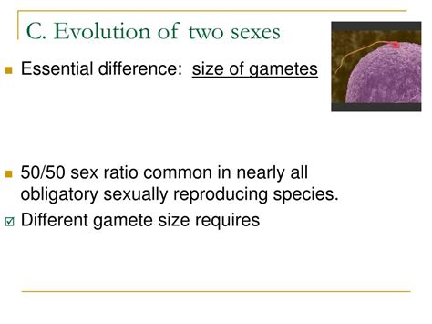 Ppt Evolution Of Sex Asexual V Sexual Reproduction Theories On The