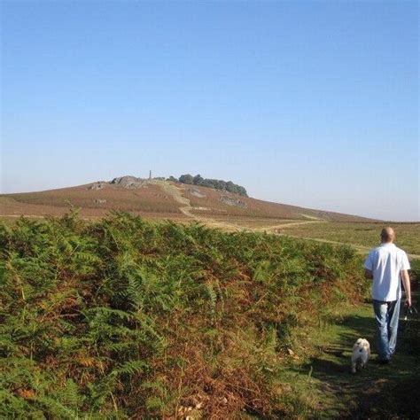 Dog walk at Bradgate Park · Leicestershire · Walkiees