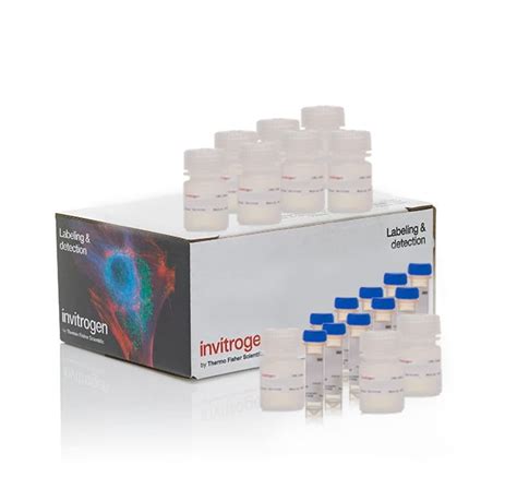 Invitrogen™ Cyquant™ Mtt Cell Viability Assay 1000 Assays Products