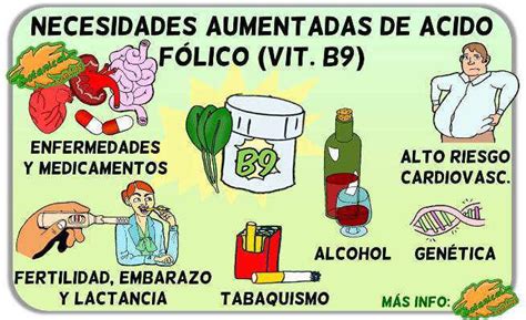 Acido Folico Baixo O Que Causa