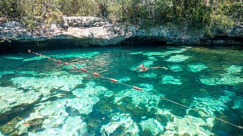 Top Melhores Cenotes De Cancun E Riviera Maya Salus Populi Suprema