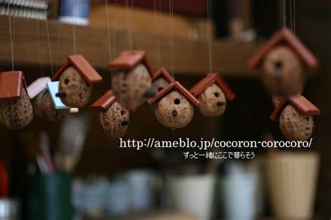 100 walnut shells ideas to save today | walnut shell, walnut, walnut ...