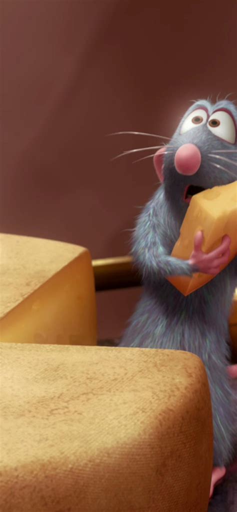 Ratatouille with his cheese