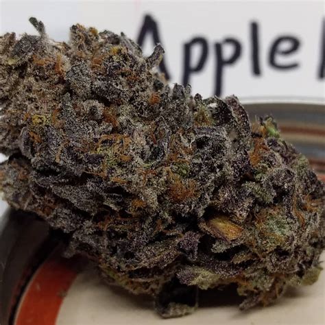 Strain Review Apple Fritter By Strains The Highest Critic