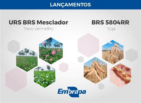 Embrapa Lan A Cultivar De Soja Na Expodireto Cotrijal Revista