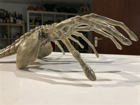 Alien Facehugger Lifesize 1 1 45 Movie Prop Finished Etsy