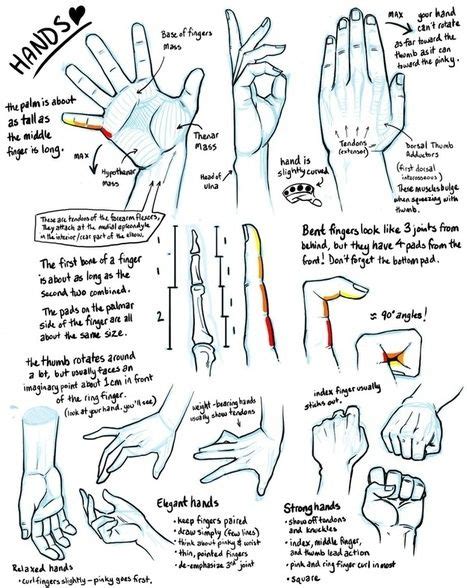 Hand Drawing Tutorial Anatomy | 101hannelore