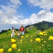 From Z Rich Day Trip To Rigi And Lake Lucerne Getyourguide