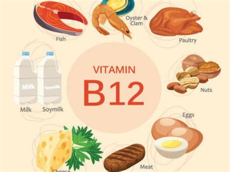 B12 Vitamini Bilgim