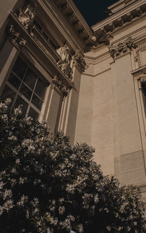 An Old Building With White Flowers Growing Out Of It