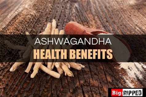 Ashwagandha And Testosterone Benefits Side Effects And Dosage