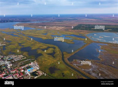 breeding  valuable fish species  res stock photography  images