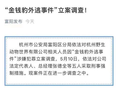 “金钱豹外逃事件”，立案调查！5人被采取刑事强制措施整改