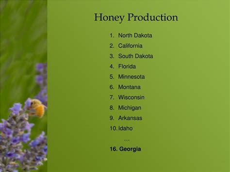 PPT - The Sweet World of Honey: Insights into Georgia's Thriving Honey
