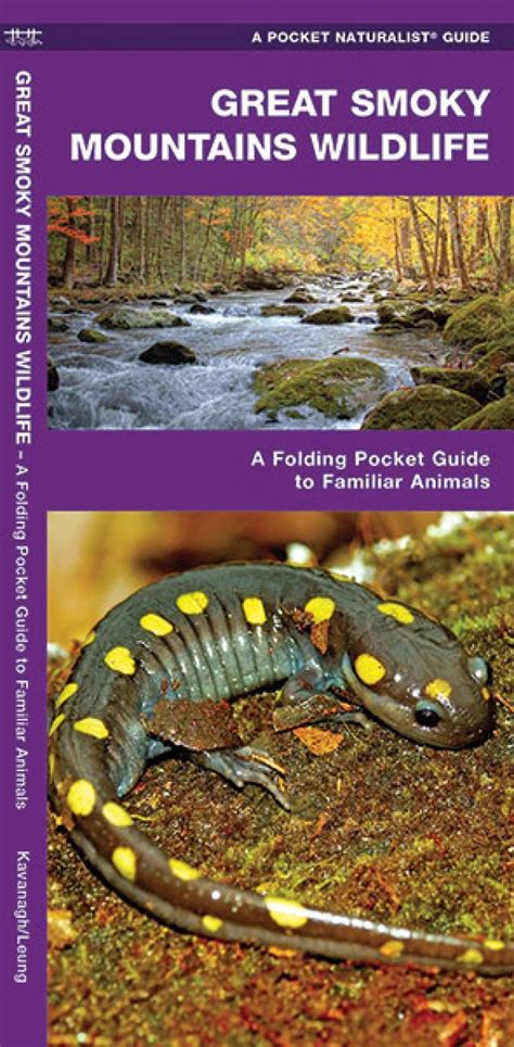 Great Smoky Mountains Wildlife A Folding Pocket Guide To Familiar